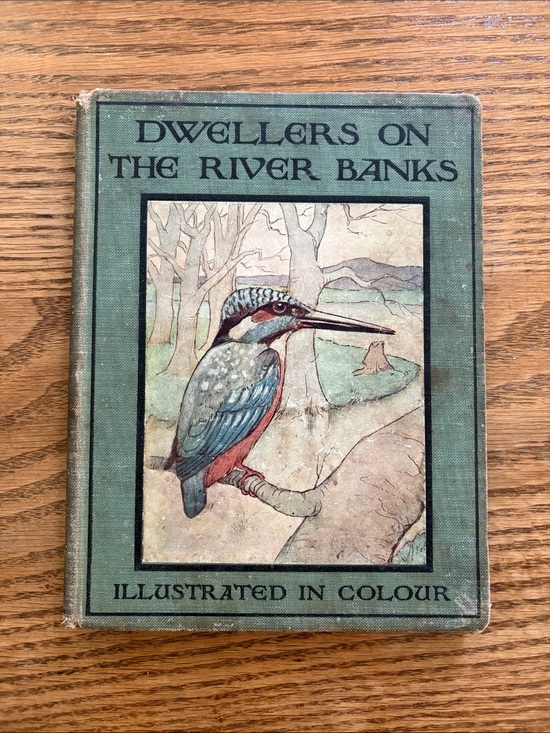 Rev Theodore Wood Other - Vintage Bird Book “Dwellers on the River Banks”